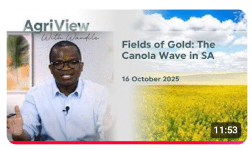 TRENDS: The Canola Wave in SA